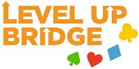 Level Up Bridge Logo - small